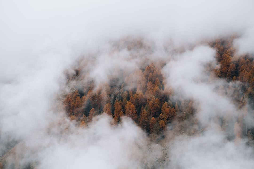 “天上飞的+地下跑的”省心省劲又省力 才智农业装备成为春耕生产“加速器”